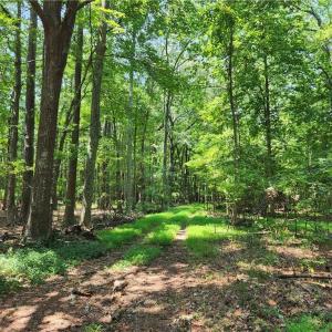 548 feet road frontage. Harris Creek 6.3 Acres Hampton VA.  Build your dream home here.