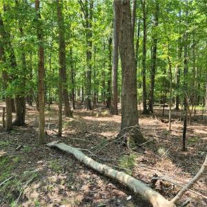 548 x 200 Harris Creek Road 6.3 Acres.  Builders note: potential to build multiple homes.