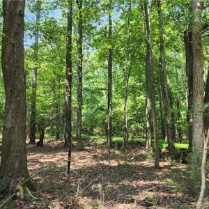 Harris Creek Road Hampton VA 6.3 Acres.  Build your private home here nestled in the woods.