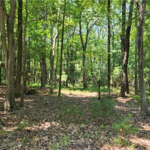 Harris Creek Road 6.3 Acres in Hampton Va