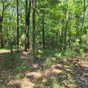 Harris Creek Road 6.3 Acres in Hampton VA