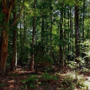 .51 AC lot has perked for a 3 bedroom home in the past.