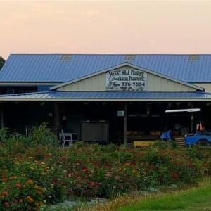 So many unique shopping opportunities in the area.
