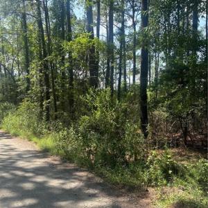 Photo #2 of 14+ac Harris Creek Road, Hampton, Virginia 14.6 acres