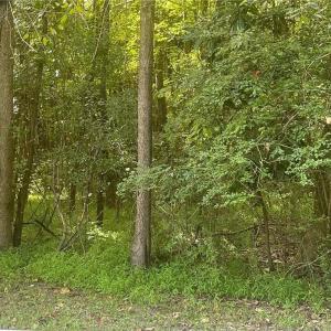 Photo #2 of 4700 Elizabeth Harbor Drive, Chesapeake, Virginia