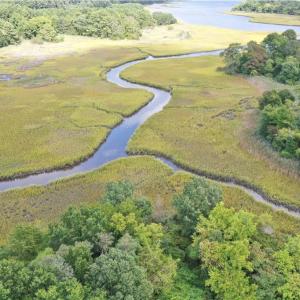 Photo #14 of 10AC Cedar Lane, Portsmouth, Virginia 11.0 acres