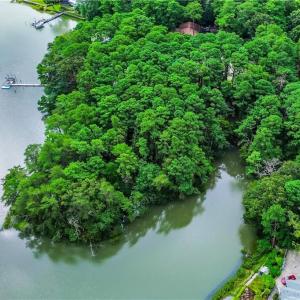 Photo #22 of 1850 Woodside Lane, Virginia Beach, Virginia 4.0 acres