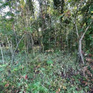 Photo #4 of 101 Kickapoo Trail, Edenton, North Carolina 0.2 acres