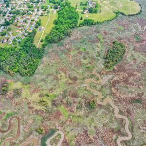 Photo #10 of 51 Deer Run Trail, Newport News, Virginia 13.1 acres