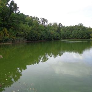 Photo #3 of 3.25AC Morgarts Beach Road, Smithfield, Virginia 3.3 acres