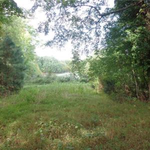 Photo #5 of 3.25AC Morgarts Beach Road, Smithfield, Virginia 3.3 acres