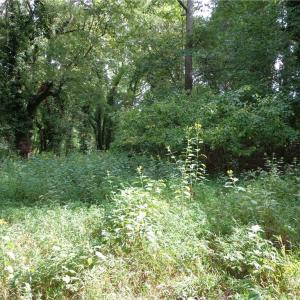 Photo #6 of 3.25AC Morgarts Beach Road, Smithfield, Virginia 3.3 acres