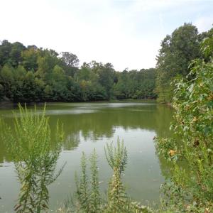 Photo #9 of 3.25AC Morgarts Beach Road, Smithfield, Virginia 3.3 acres