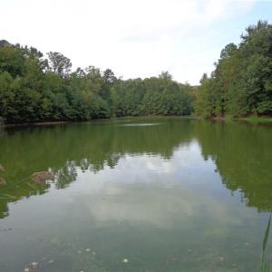 Photo #2 of 3.25AC Morgarts Beach Road, Smithfield, Virginia 3.3 acres