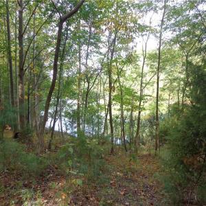 Photo #3 of 2.81AC Morgarts Beach Road, Smithfield, Virginia 2.8 acres
