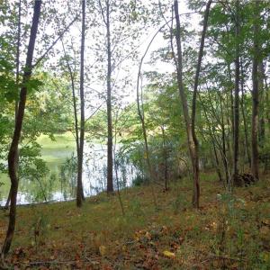 Photo #4 of 2.81AC Morgarts Beach Road, Smithfield, Virginia 2.8 acres