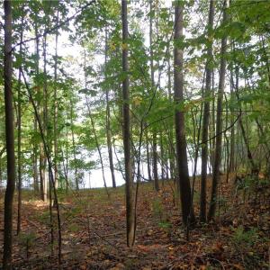 Photo #5 of 2.81AC Morgarts Beach Road, Smithfield, Virginia 2.8 acres