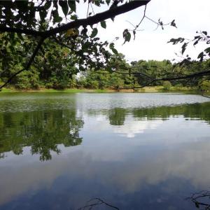 Photo #6 of 2.81AC Morgarts Beach Road, Smithfield, Virginia 2.8 acres