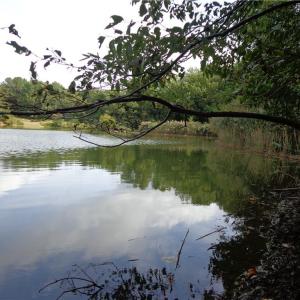 Photo #7 of 2.81AC Morgarts Beach Road, Smithfield, Virginia 2.8 acres