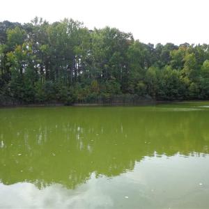 Photo #9 of 2.81AC Morgarts Beach Road, Smithfield, Virginia 2.8 acres