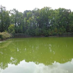 Photo #10 of 2.81AC Morgarts Beach Road, Smithfield, Virginia 2.8 acres