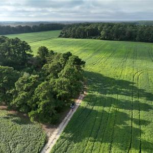Photo #12 of 133 Blue Heron Lane, Knotts Island, North Carolina 51.0 acres