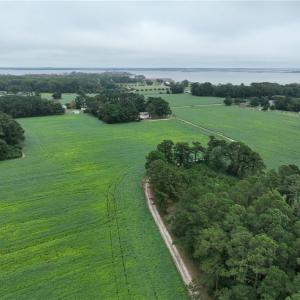 Photo #4 of 133 Blue Heron Lane, Knotts Island, North Carolina 51.0 acres