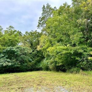 Photo #3 of 325 Lloyd Street, Suffolk, Virginia 4.1 acres