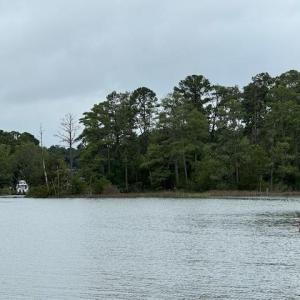 Photo #13 of 22+ac Severn Wharf Road, Hayes, Virginia 22.3 acres