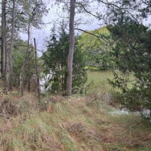 Photo #16 of 22+ac Severn Wharf Road, Hayes, Virginia 22.3 acres