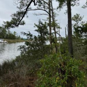 Photo #18 of 22+ac Severn Wharf Road, Hayes, Virginia 22.3 acres