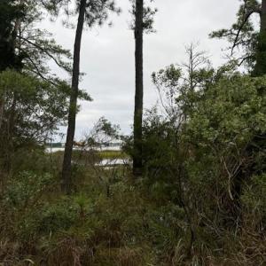 Photo #3 of 22+ac Severn Wharf Road, Hayes, Virginia 22.3 acres