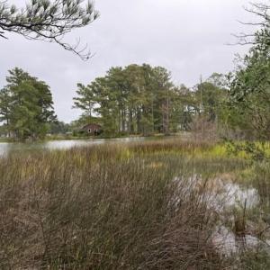 Photo #22 of 22+ac Severn Wharf Road, Hayes, Virginia 22.3 acres