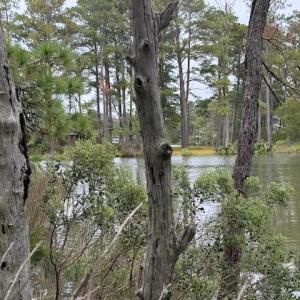 Photo #5 of 22+ac Severn Wharf Road, Hayes, Virginia 22.3 acres