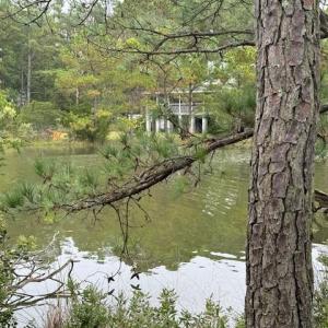 Photo #7 of 22+ac Severn Wharf Road, Hayes, Virginia 22.3 acres