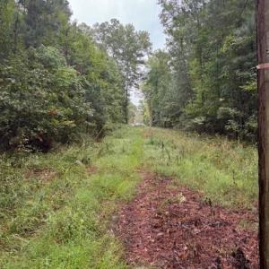 Photo #9 of 22+ac Severn Wharf Road, Hayes, Virginia 22.3 acres