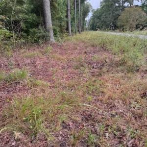 Photo #10 of 22+ac Severn Wharf Road, Hayes, Virginia 22.3 acres