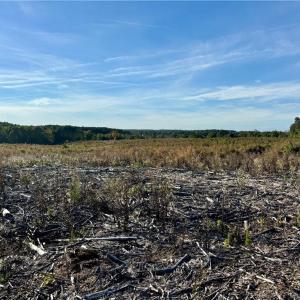 Photo #3 of 59+ac Inman Road, Danville, Virginia 59.4 acres