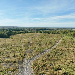 Photo #6 of 59+ac Inman Road, Danville, Virginia 59.4 acres