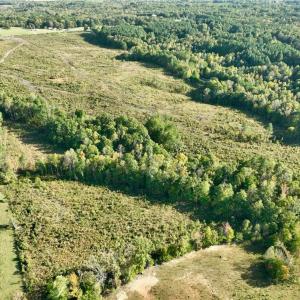 Photo #8 of 59+ac Inman Road, Danville, Virginia 59.4 acres