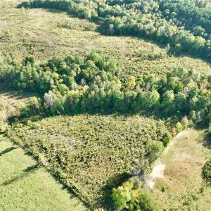 Photo #9 of 59+ac Inman Road, Danville, Virginia 59.4 acres