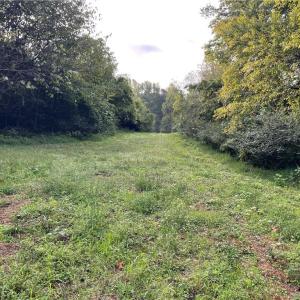 Photo #12 of 1105 Stewarts Road, Lanexa, Virginia 47.0 acres