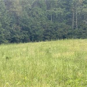 Photo #13 of 1105 Stewarts Road, Lanexa, Virginia 47.0 acres