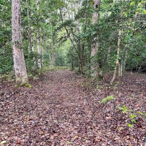 Photo #14 of 1105 Stewarts Road, Lanexa, Virginia 47.0 acres