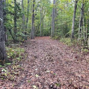 Photo #15 of 1105 Stewarts Road, Lanexa, Virginia 47.0 acres