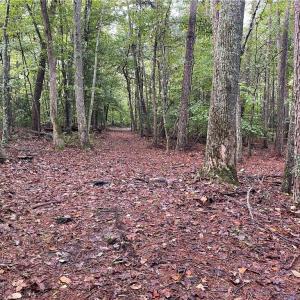 Photo #16 of 1105 Stewarts Road, Lanexa, Virginia 47.0 acres