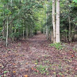 Photo #18 of 1105 Stewarts Road, Lanexa, Virginia 47.0 acres