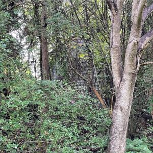 Photo #19 of 1105 Stewarts Road, Lanexa, Virginia 47.0 acres