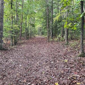 Photo #20 of 1105 Stewarts Road, Lanexa, Virginia 47.0 acres