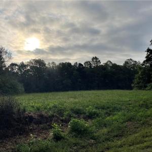 Photo #3 of 1105 Stewarts Road, Lanexa, Virginia 47.0 acres